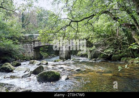 Der Fluss Plym und der Fluss Meavy treffen sich an der Shaugh Bridge in Dewerstone Woods am Rande von Dartmoor in South Devon. Stockfoto