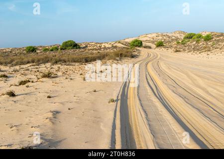 Blick auf die Landschaft im Coto Donana Nationalpark, Andalusien, Spanien Stockfoto