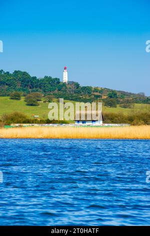 Denkmalgeschützter Leuchtturm oder Leuchtturm Dornbusch am Schluckswiek oder Schluckwieksberg, Hochland im Norden der Ostseeinsel Hiddensee, strohgedeckt Stockfoto