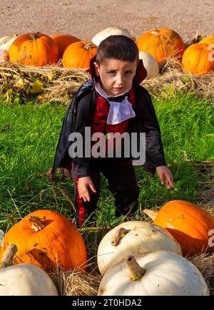 Totton, Hampshire, Großbritannien. Oktober 2023. Tausende von Menschen besuchen die Sunnyfields Farm in Totton, Hampshire an einem warmen, sonnigen Tag, um schaurige Abenteuer und fangtastische Darbietungen zur Kürbis-Zeit zu erleben, während Halloween näher rückt, einschließlich eines Albtraums vor Weihnachten, um das 30-jährige Jubiläum des Films zu feiern. (Erlaubnis des Elternteils erhalten) Credit: Carolyn Jenkins / Alamy Live News Stockfoto