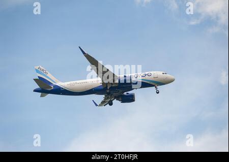 15.07.2023, Singapur, Republik Singapur, Asien - Passagierflugzeuge der Indigo Airlines Airbus A320 Neo nähern sich dem Flughafen Changi an. Stockfoto