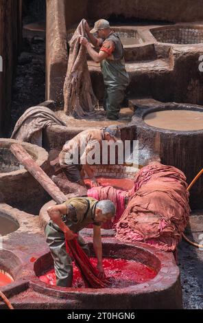 Fès, Marokko - 10. September 2022: Lederfärbung in einer traditionellen Gerberei. Männer, die als Gerber in den Farbtöpfen in Ledergerbereien arbeiten. Bräunungsgruben sind Stockfoto