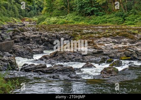 Nehalem Falls, vulkanisches Basaltgestein am Nehalem River, in der Nähe des Campingplatzes Nehalem Falls, Tillamook State Forest, Oregon, USA Stockfoto