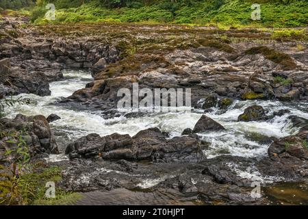 Nehalem Falls, vulkanisches Basaltgestein am Nehalem River, in der Nähe des Campingplatzes Nehalem Falls, Tillamook State Forest, Oregon, USA Stockfoto