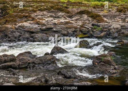 Nehalem Falls, vulkanisches Basaltgestein am Nehalem River, in der Nähe des Campingplatzes Nehalem Falls, Tillamook State Forest, Oregon, USA Stockfoto