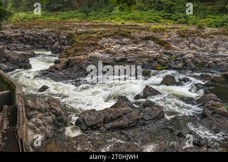 Nehalem Falls, vulkanisches Basaltgestein am Nehalem River, in der Nähe des Campingplatzes Nehalem Falls, Tillamook State Forest, Oregon, USA Stockfoto