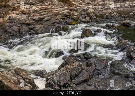 Nehalem Falls, vulkanisches Basaltgestein am Nehalem River, in der Nähe des Campingplatzes Nehalem Falls, Tillamook State Forest, Oregon, USA Stockfoto