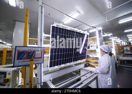 (231007) -- PEKING, 7. Oktober 2023 (Xinhua) -- Ein Mitarbeiter überprüft Photovoltaikmodule in der Werkstatt der Hengdian Group DMEGC Magnetics Co., Ltd. In Dongyang, ostchinesischer Provinz Zhejiang, 18. April 2023. Dirk Heil, der in der kleinen Stadt Schwarzenbek in Schleswig-Holstein lebt, hat in den letzten Monaten Solargeräte chinesischer Unternehmen eingesetzt. Dank der Belt and Road Initiative sind diese qualitativ hochwertigen und preisgünstigen Produkte aus China auf dem Seeweg oder durch den Transport von China-Europa-Güterzügen in die deutschen Haushalte gelangt.Hengdian Group DMEGC Magnetics Co Stockfoto