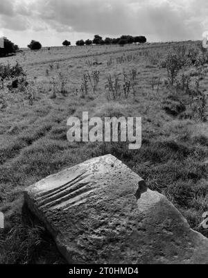 Sehen Sie SSW eines Sarsensteins in Totterdown auf Overton Down, in der Nähe von Avebury, England, Großbritannien, der zur Formgebung verwendet wurde. glätten und Schärfen neolithischer Steinachsen. Stockfoto