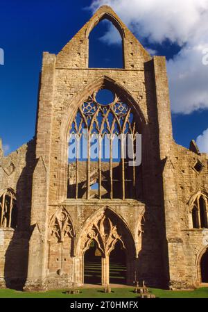 Die Westfront der Zisterzienserklosterkirche der Tintern Abbey in Monmouthshire, Wales, Großbritannien. Gegründet 1131 von Walter de Clare, dem normannischen Lord von Chepstow. Stockfoto