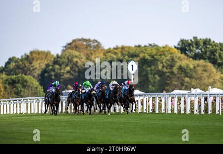 Ridders während des John Guest Racing Bengough Stakes auf der Ascot Racecourse, Berkshire. Bilddatum: Samstag, 7. Oktober 2023. Stockfoto