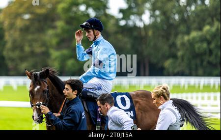 Atrium wurde von Jockey Harry Davies gefahren, nachdem er den Howden Challenge Cup auf der Ascot Racecourse in Berkshire gewonnen hatte. Bilddatum: Samstag, 7. Oktober 2023. Stockfoto