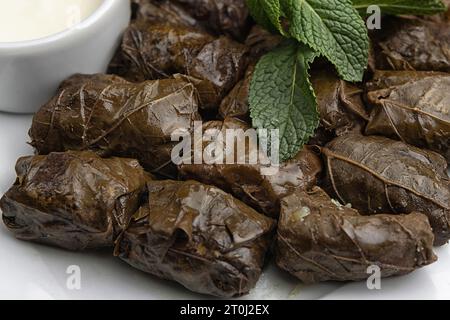 Aserbaidschanischer Dolma in Traubenblättern auf einer weißen Platte Stockfoto