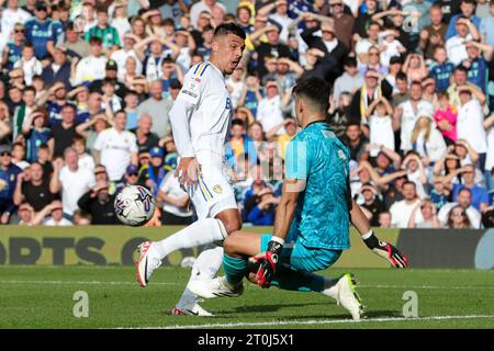 Leeds, Großbritannien. Oktober 2023. Joël Piroe #7 von Leeds United versucht Torhüter Max O'Leary #1 von Bristol City zu knacken, wird aber während des Sky Bet Championship Matches Leeds United gegen Bristol City in der Elland Road, Leeds, Vereinigtes Königreich, am 7. Oktober 2023 (Foto: James Heaton/News Images) in Leeds, Vereinigtes Königreich am 7. Oktober 2023 gerettet. (Foto: James Heaton/News Images/SIPA USA) Credit: SIPA USA/Alamy Live News Stockfoto