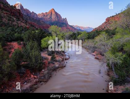 Klassischer Blick auf den Virgin River mit dem Watchman Peak in der Ferne im Zion Nationalpark Stockfoto