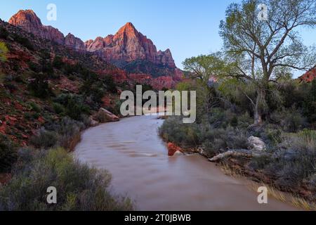 Klassischer Blick auf den Virgin River mit dem Watchman Peak in der Ferne im Zion Nationalpark Stockfoto