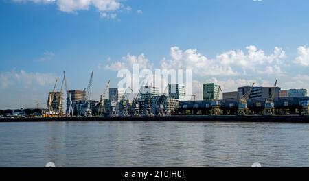 Skyline von Antwerpen, Belgien vom Fluss Schelde aus gesehen Stockfoto