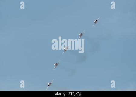 Mollis, Schweiz, 18. August 2023 Patrouille Suisse Northrop F-5E Tiger II Militärjet, der akrobatische Flüge während einer Flugschau durchführt Stockfoto