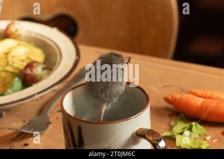 Zürich, Schweiz, 3. September 2023 Maus sitzt auf einer Kaffeetasse in einem Wildpark Stockfoto