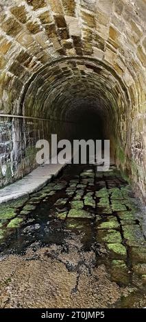 Sehr gruseliger Steintunnel unter dem Damm resevoir Bystricka in Tschechien. Gruseliger dunkler und nasser Ort. Stockfoto