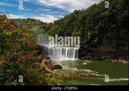 Cumberland Falls mit Wildblumen in Corbin, Kentucky, USA Stockfoto