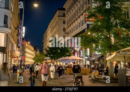Menschenmassen im Zentrum von Wien, Österreich Stockfoto
