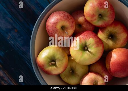 Frisch geerntete rote Äpfel befinden sich in einer Keramikschale. Die Äpfel sind von oben fotografiert und stehen auf einem rustikalen Hintergrund aus blauen Holzlatten. Stockfoto