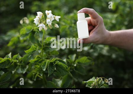 Probleme und Lösung der Gartensaison. Zugeschnittene Fotohand des Bauern hält weiße Flasche mit Modell für Gift, Pestizidflüssigkeit von Pflanzenkrankheiten und Stockfoto