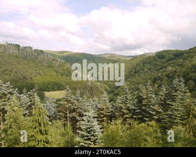 Vale of Rheidol Railway, Ceredigion, Wales – 21. Juni 2023: Ein Blick auf die Cambrian Mountains von der Eisenbahn, die sich der Devil's Bridge nähert. Stockfoto