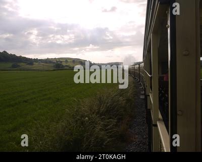 Vale of Rheidol Railway, Ceredigion, Wales – 21. Juni 2023: Lokomotive Nr. 8 (Llywelyn) durchquert Felder am Stadtrand von Aberystwyth. Stockfoto