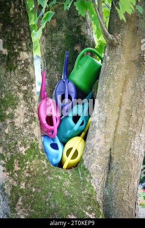 Viele bunte Gießkannen auf einem Friedhof werden in einer Zweiggabel gelagert Stockfoto