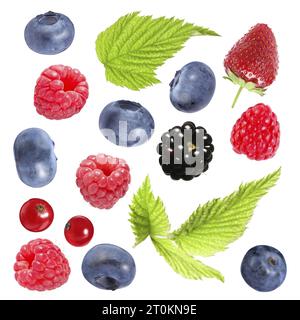 Frische Heidelbeeren und andere Beeren isoliert auf weiß, Set Stockfoto