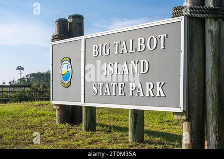 Big Talbot Island State Park, südlich von Amelia Island im Nordosten Floridas. (USA) Stockfoto