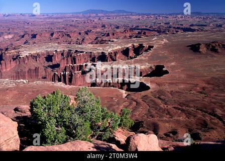 Grand View Point Overlook, Canyonlands National Park, Utah. Stockfoto