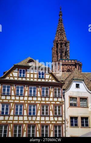 Fassade und Turm der Kathedrale Notre Dame und kunstvolle traditionelle Fachwerkhäuser mit steilen Dächern umgeben sie in Straßburg, Elsass, Frankreich Stockfoto