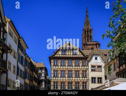 Fassade und Turm der Kathedrale Notre Dame und kunstvolle traditionelle Fachwerkhäuser mit steilen Dächern umgeben sie in Straßburg, Elsass, Frankreich Stockfoto