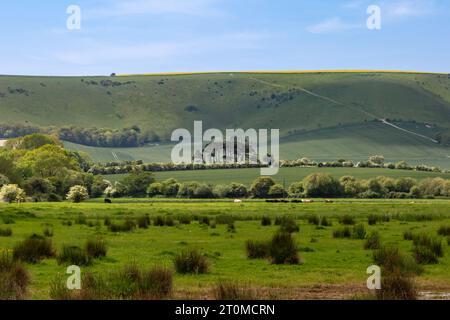 Blick auf Kingston Ridge in den South Downs, an einem sonnigen Frühlingstag Stockfoto