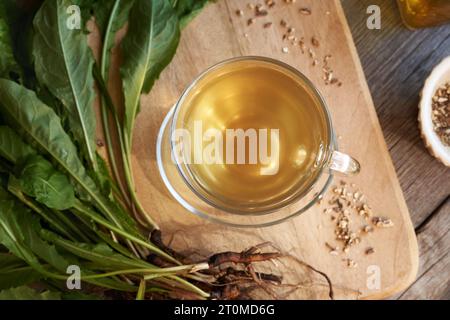 Kräutertee aus frischen Löwenzahnwurzeln, Blick von oben Stockfoto