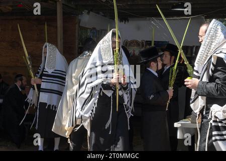 Orthodoxe jüdische Männer segnen die vier Sukkos-Arten in einem Sukkah neben einer Synagoge in Monsey Stockfoto