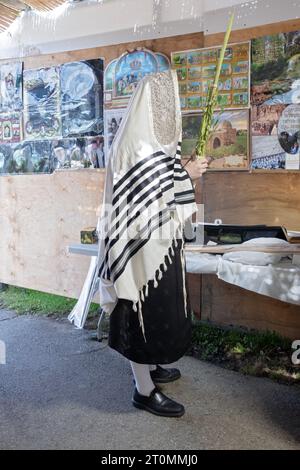 Und ein unbekannter orthodoxer jüdischer Mann mit hohen weißen Socken und einem tallis segnet die 4 Sukkos-Spezies in einem Sukkkah in Monsey, New York. Stockfoto