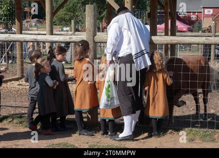 Während der Succos, wenn es darum geht, Spaß zu haben, füttern ein chassidischer Mann und mehrere Kinder die Tiere auf der West Maple Farm in Mosey, New York. Stockfoto