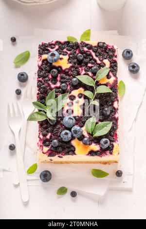 Hausgemachter Blaubeeren-Käsekuchen aus frischen Beeren und Mascarpone. Blaubeerkäsekuchen mit Beeren. Stockfoto
