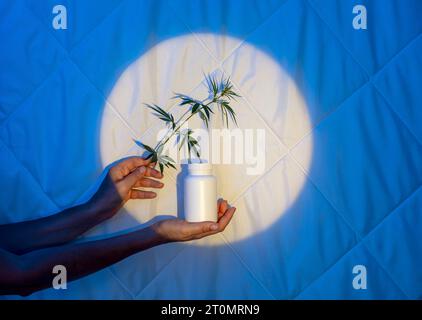 Tauchen Sie ein in die Ruhe der Nacht: Die beruhigende Kraft der siv-Kapsel in einem weißen Glas mit einem Zweig Cannabis in den Händen gegen Stockfoto