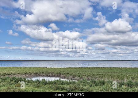 Naturschutzgebiet Beltringharder Koog, Nordsee, Nordfriesland, Deutschland Stockfoto