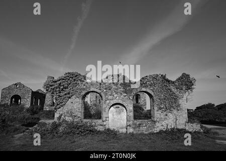 Große Flachtragfähigkeit, Zinnmine Cornwall Penwith Stockfoto