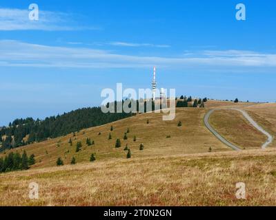 Feldberg Themenbild - Feldberg, Feldbergblick im Schwarzwald, im Naturpark Südschwarzwald, südlicher Schwarzwald, Tourismus Themenbild - Feldberg, Feldbergblick im Schwarzwald, im Naturpark Südschwarzwald, südlicher Schwarzwald, Tourismus mit 1493 m ist der Feldberg, Landkreis Breisgau-Hochschwarzwald, im Naturpark Schwarzwald, im südlichen Schwarzwald, der höchste Berg, Gipfel in Baden-Württemberg. Friedrich-Luise-Turm auf dem Gipfel des Feldbergs im Schwarzwald, Feldbergturm, Wetterradaranlage und Wetterstation. Symbolbild, Themenbild, Featurebild *** Feldberg Themenbild Feldberg, Feldbergb Stockfoto