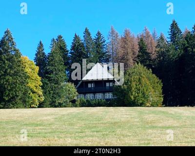 Feldberg Themenbild - Feldberg, Feldbergblick im Schwarzwald, im Naturpark Südschwarzwald, südlicher Schwarzwald, Tourismus Themenbild - Feldberg, Feldbergblick im Schwarzwald, im Naturpark Südschwarzwald, südlicher Schwarzwald, Tourismus mit 1493 m ist der Feldberg, Landkreis Breisgau-Hochschwarzwald, im Naturpark Schwarzwald, im südlichen Schwarzwald, der höchste Berg, Gipfel in Baden-Württemberg. alte, traditionelle, urige Schwarzwaldhaus, Holzhaus umgeben von Tannen und Fichten, Bäumen Symbolbild, Themenbild, Featurebild *** Feldberg Themenbild Feldberg, Feldbergblick im Schwarzwald, Stockfoto