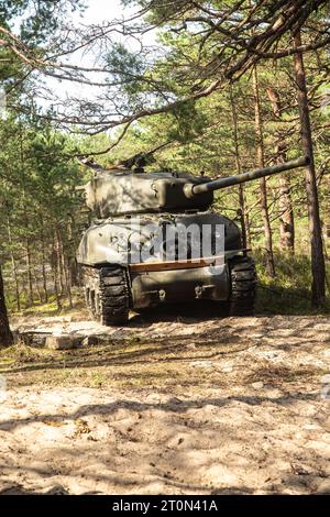 Sherman-Panzer im Zweiten Weltkrieg im Wald. Stockfoto