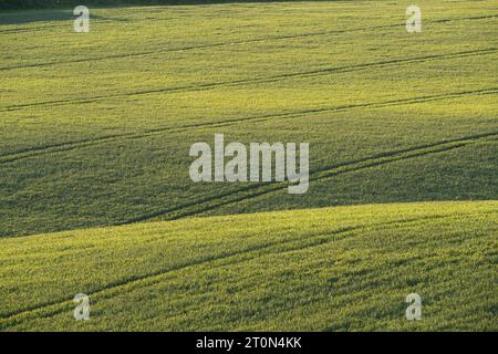 Ackerland im Clun Valley bei Craven Arms, Shropshire, Großbritannien Stockfoto