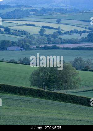 Ackerland im Clun Valley bei Craven Arms, Shropshire, Großbritannien Stockfoto